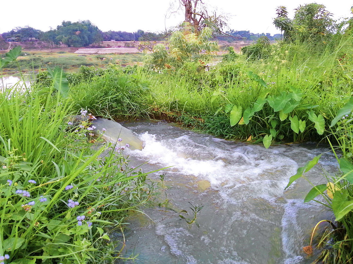 Agricultural Development