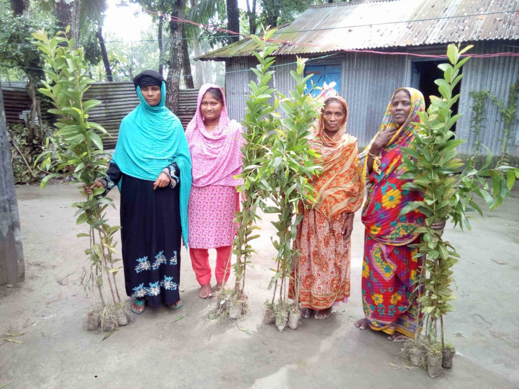 Sapling Distribution/Tree Plantation